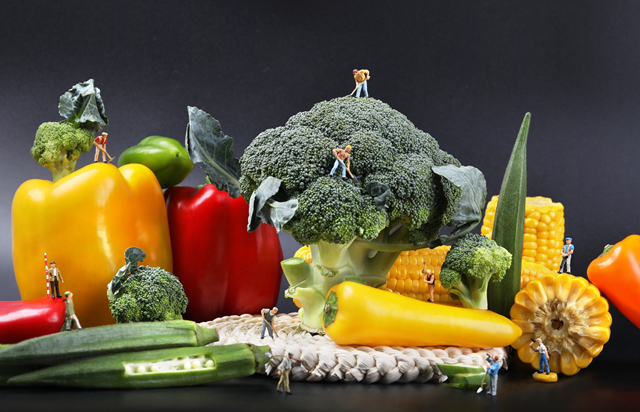 物流服务：满足客户需求的核心